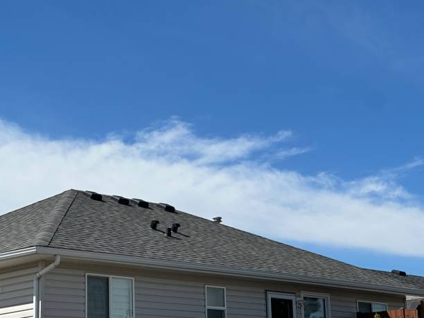 Best Roof Installation  in Pecos, TX